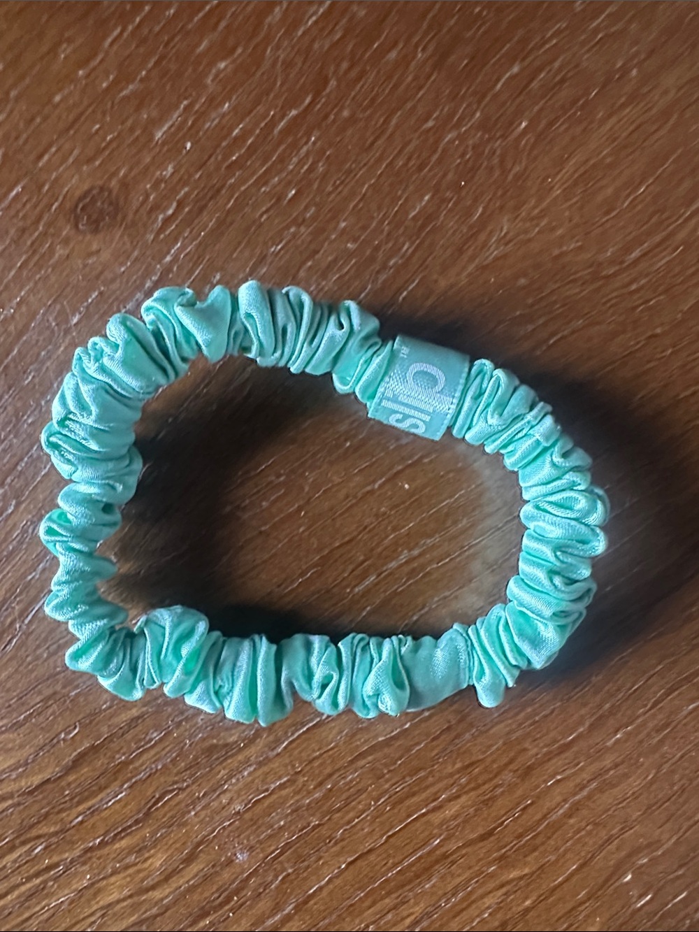 Slip silk hair tie light green